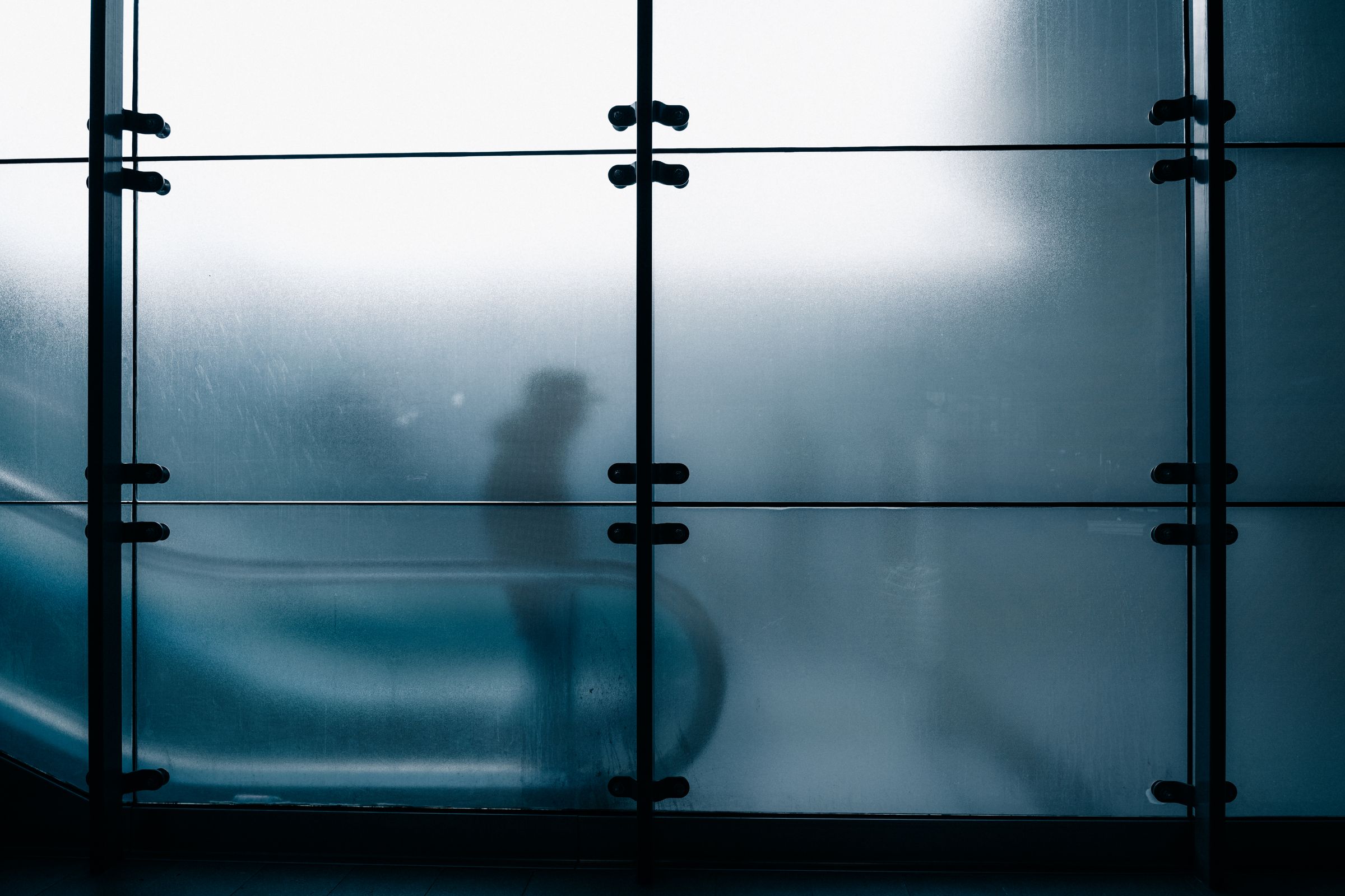 A person seen through translucent architectural glass